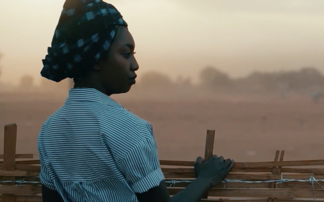 The Great Green Wall